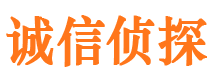 汉台市私家侦探公司